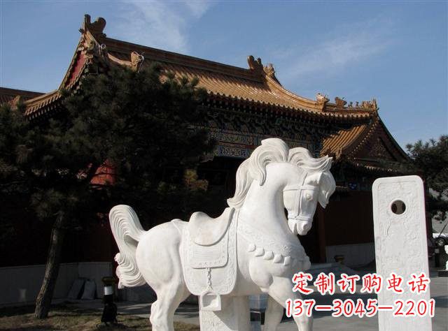 合肥石雕小马