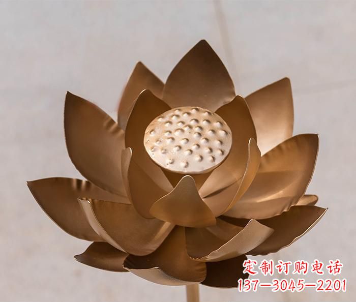 合肥铜雕景观荷花