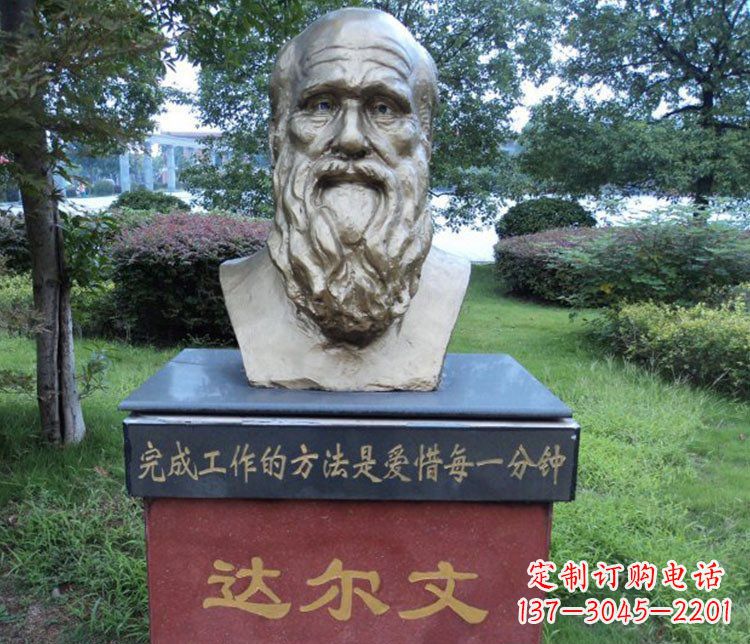合肥铜雕校园达尔文肖像雕塑