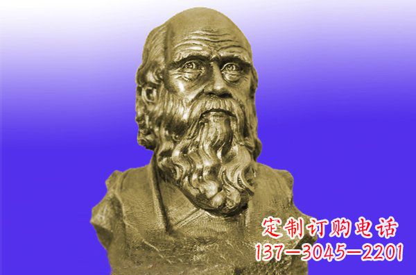 合肥托尔斯泰头像铜雕
