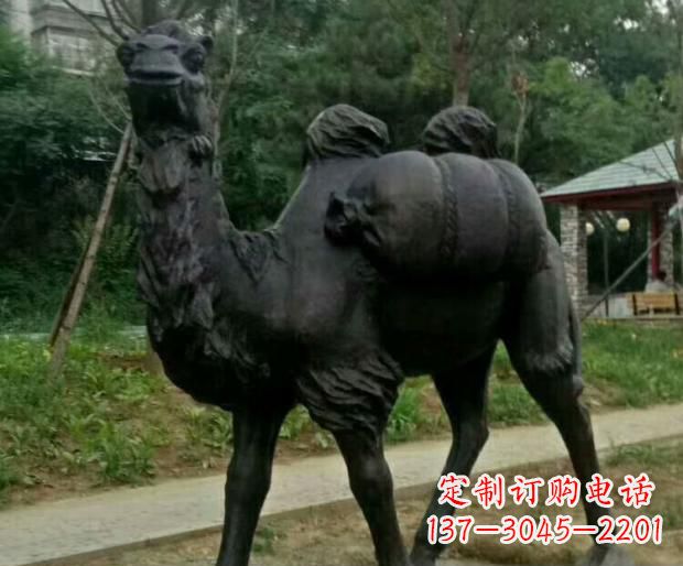 合肥驮行李的骆驼铜雕
