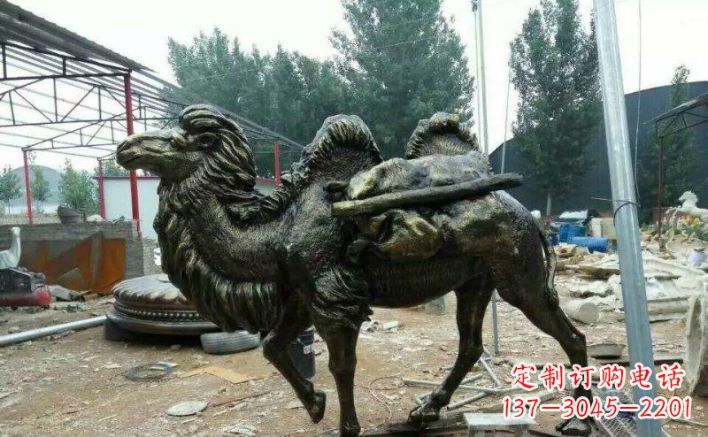 合肥驮着东西的骆驼铜雕