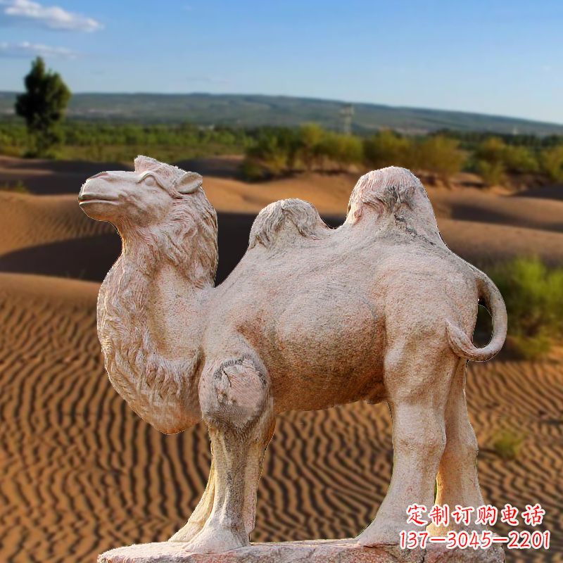 合肥晚霞红大理石骆驼