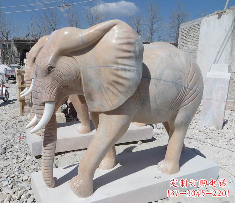 合肥晚霞红卷鼻大象