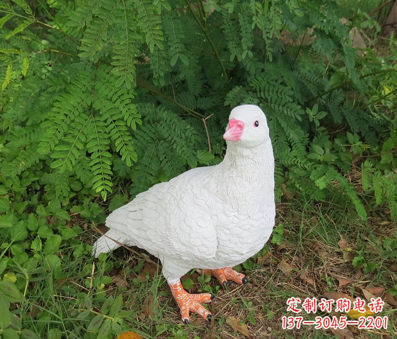合肥潍坊青年路和平鸽灰姑娘雕塑