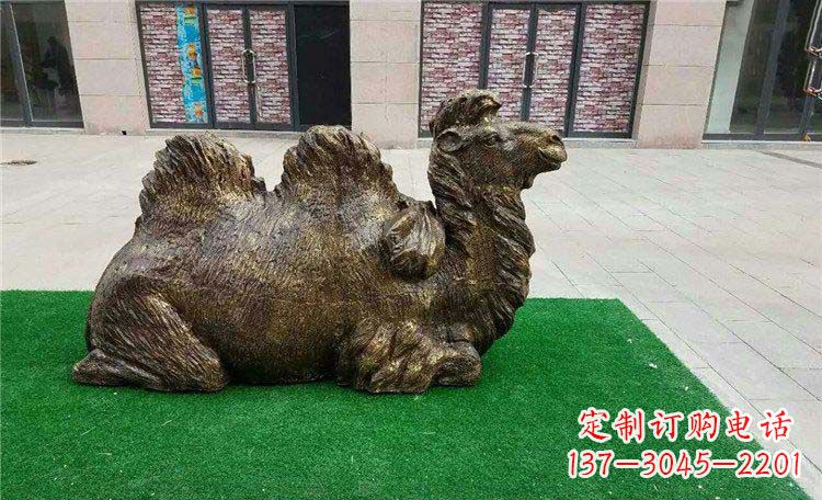 合肥卧着的骆驼动物铜雕