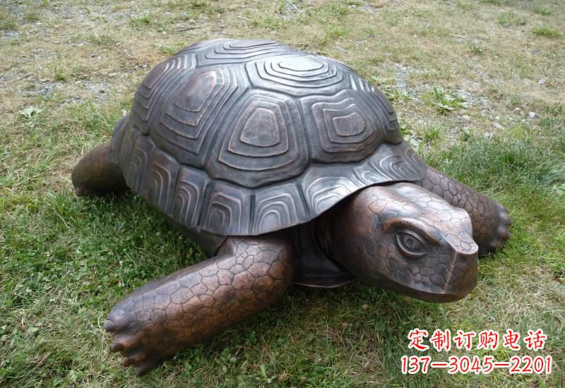 合肥乌龟铜雕222