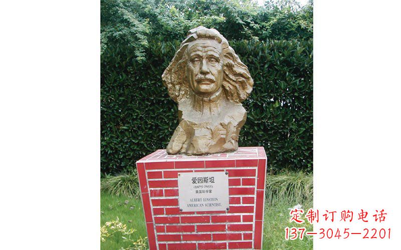 合肥西方名人爱因斯坦头像铜雕