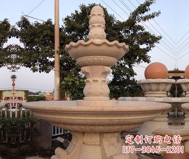 合肥小区景观大型喷泉石雕 (4)