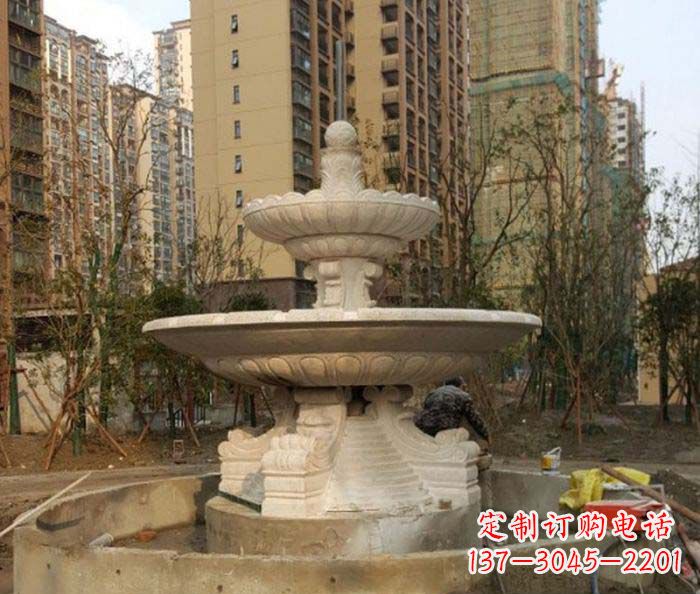 合肥小区景观大型喷泉石雕 (3)