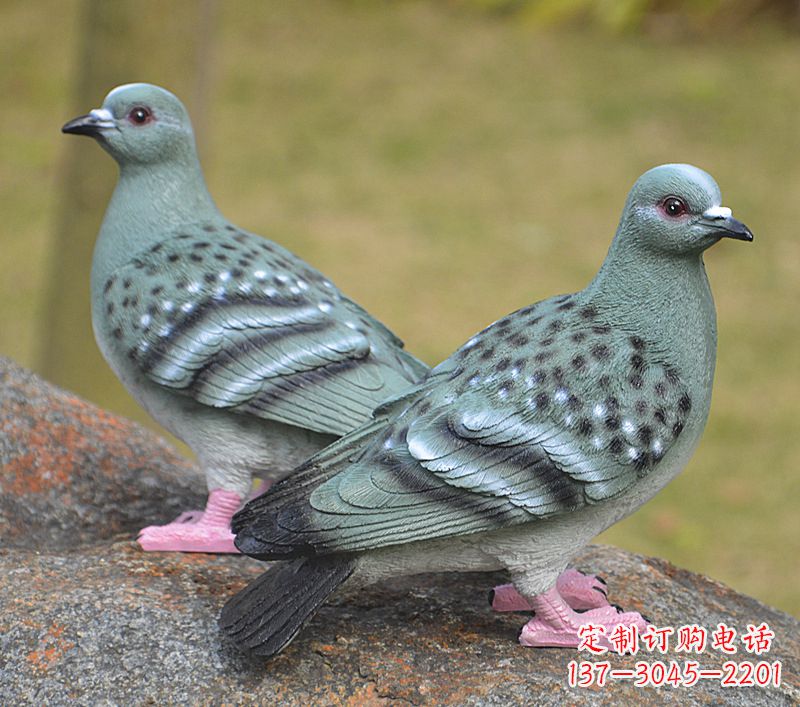 合肥校园雕塑和平鸽图片