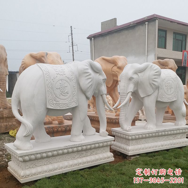 合肥学校石雕大象
