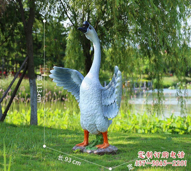 合肥站立的灰色展翅天鹅